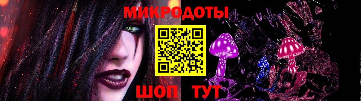 купить закладку  Галлюциногенные грибы Magic Shrooms  Вход с VPN  Ноябрьск  Галлюциногенные грибы мицелий 
